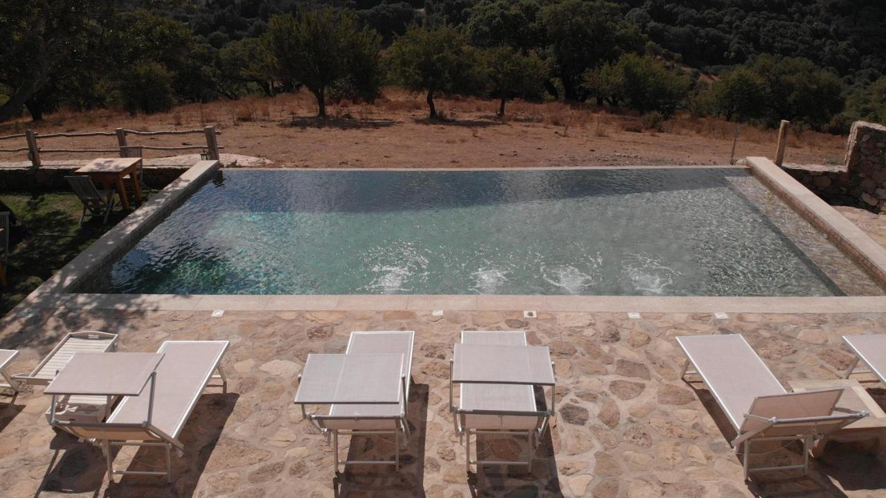 Stazzu Coiga Villa Aggius ภายนอก รูปภาพ