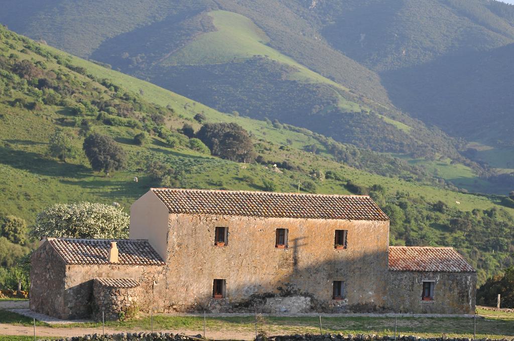 Stazzu Coiga Villa Aggius ภายนอก รูปภาพ